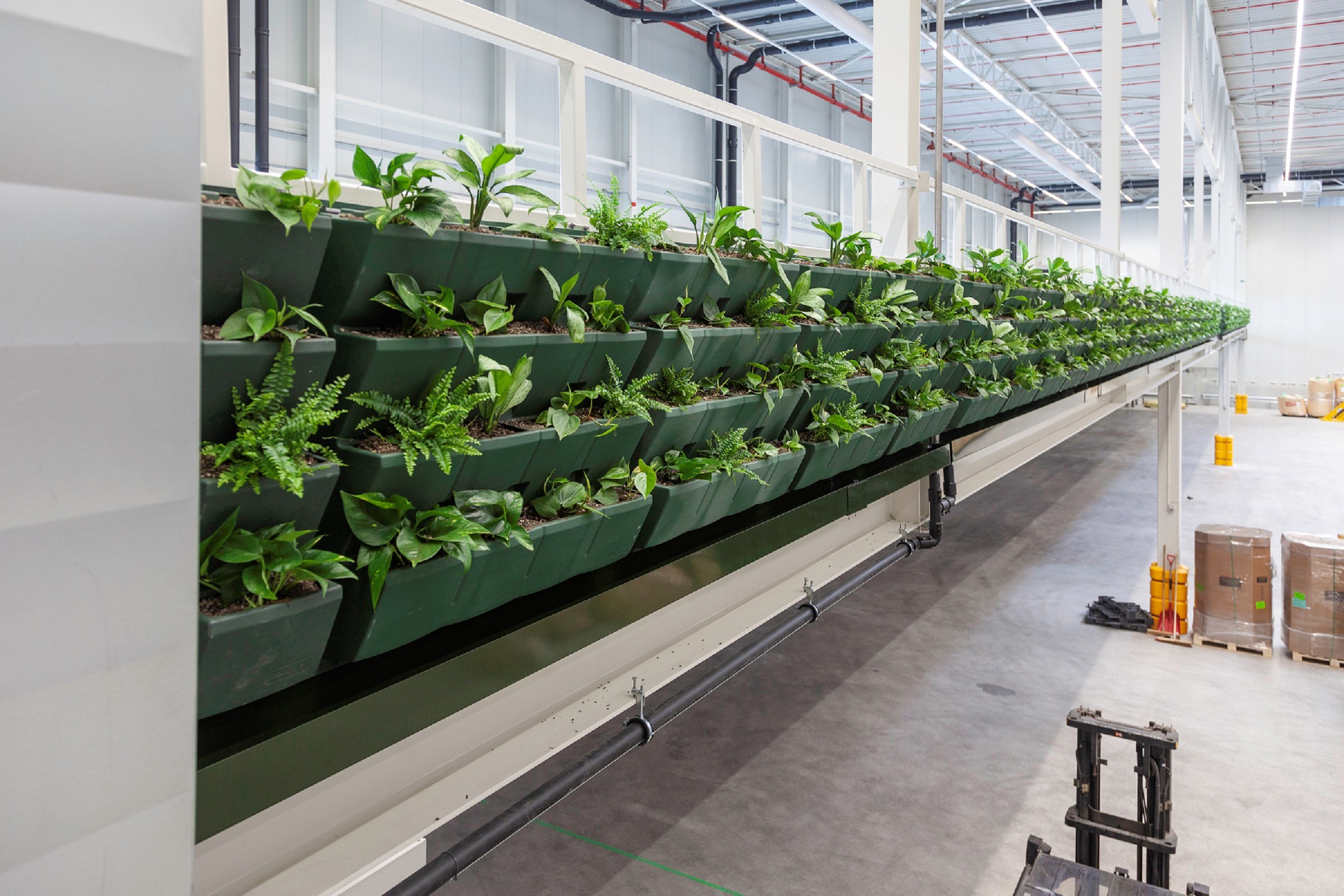 Plants at the WELL Building Standard™ pilot warehouse