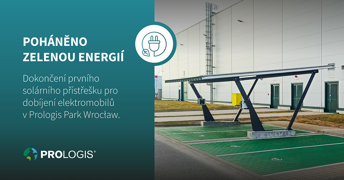 zelonou energii