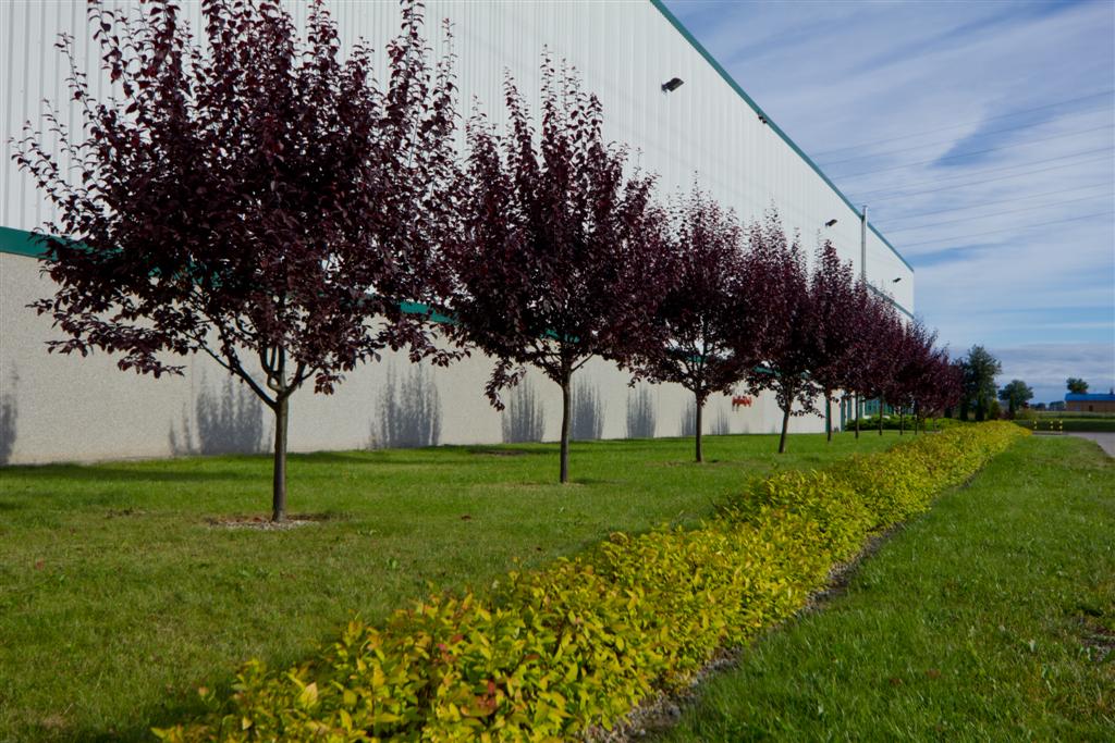 Prologis Park Teresin