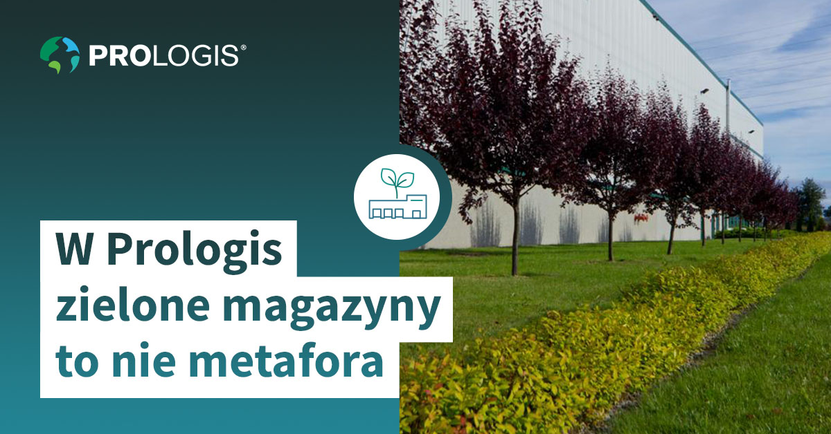 Prologis zielone magazyny